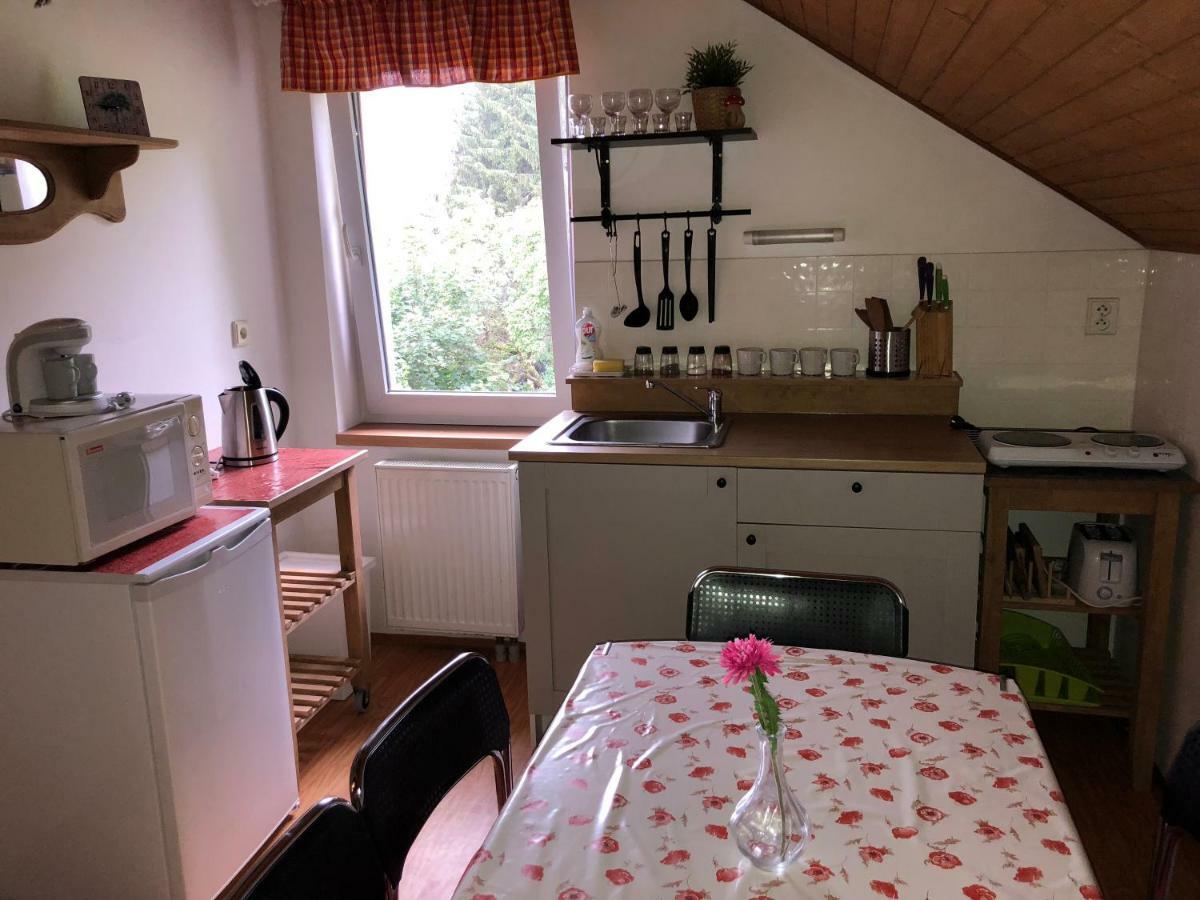 Apartmany U Kamenky Vrchlabí エクステリア 写真